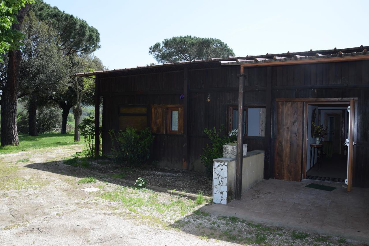 Borgo Della Molara Ξενοδοχείο Grottaferrata Εξωτερικό φωτογραφία